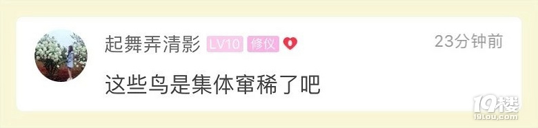 一夜之间车子变成这样!杭州小伙早起一看被恶心到了