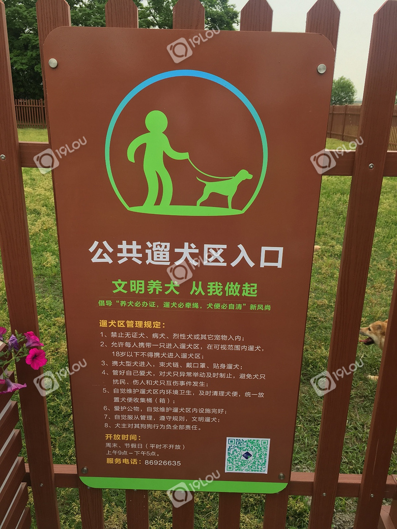 杭州的狗狗終于有自己的公共遛犬區(qū)啦,鏟屎官們看過來!