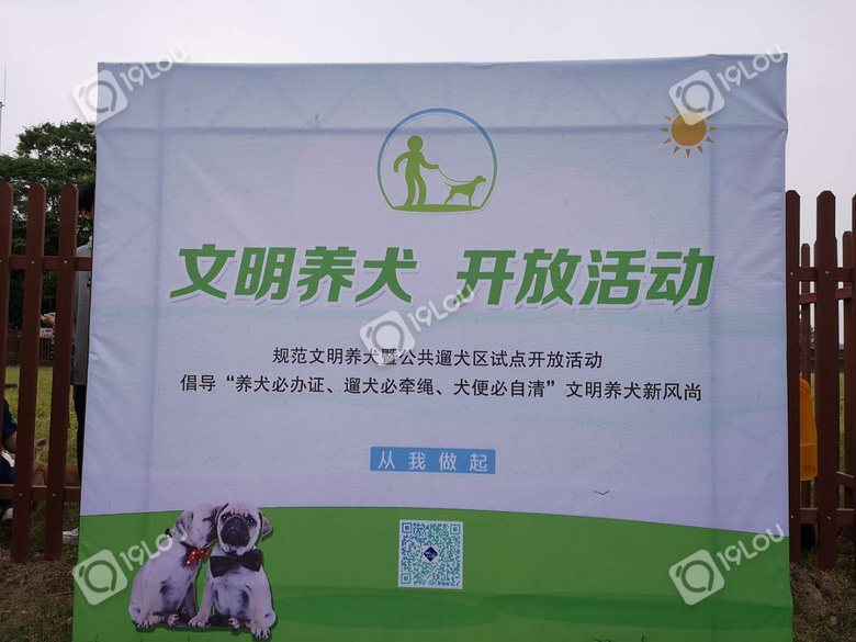 杭州的狗狗終于有自己的公共遛犬區(qū)啦,鏟屎官們看過來!