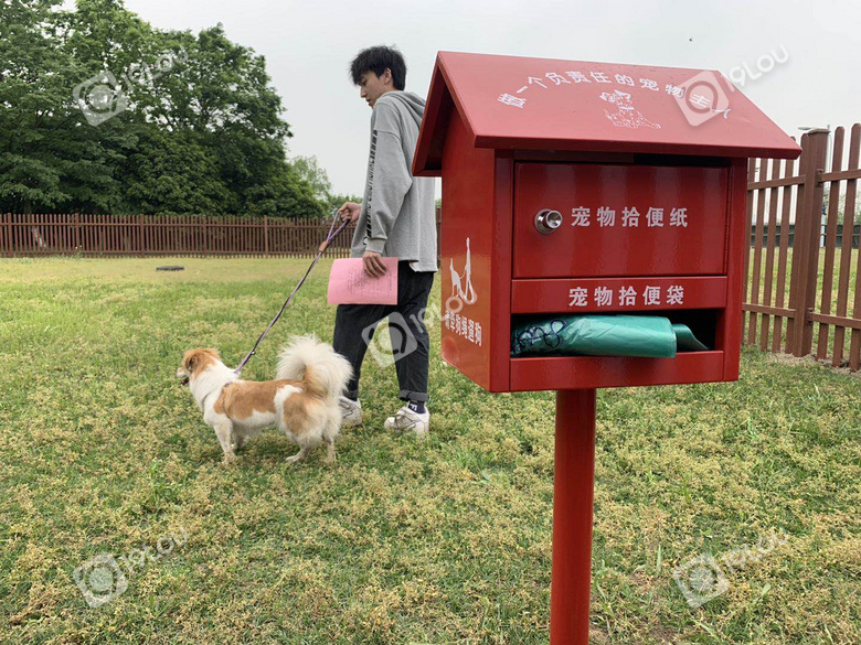 杭州的狗狗終于有自己的公共遛犬區(qū)啦,鏟屎官們看過來!