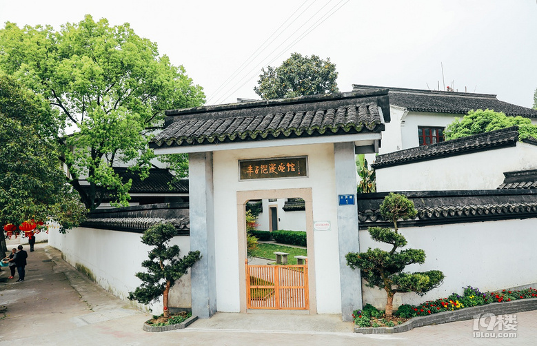 浙里好玩“桐你一起,鄉(xiāng)約花季” 悠居桐鄉(xiāng)