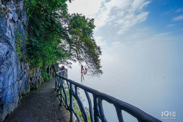 张家界不可错过的旅游景点有哪些