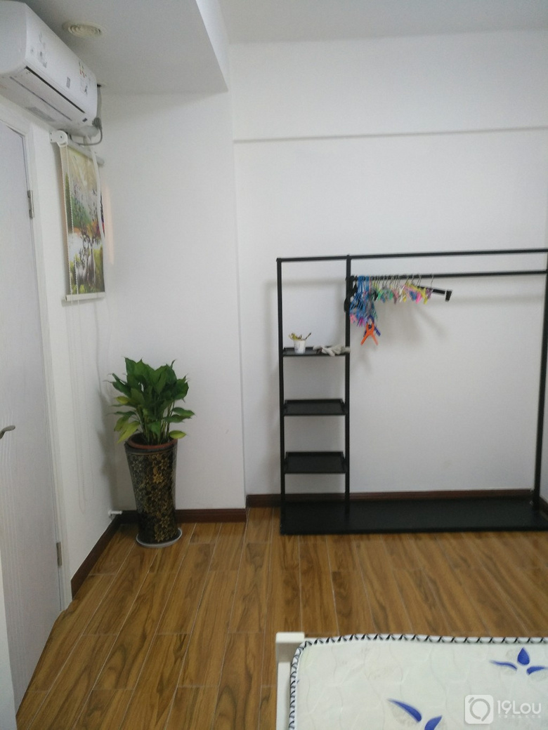 南宁公寓出租市场概览与最新动态