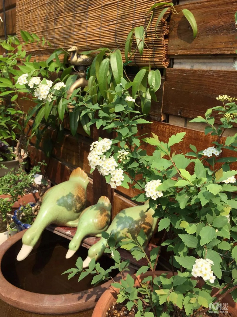 掰断偷走百万年钟乳石游客落网!2人刑拘,