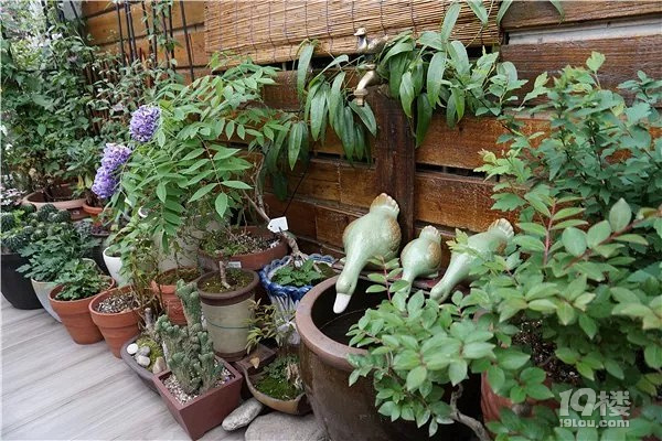 掰断偷走百万年钟乳石游客落网!2人刑拘,