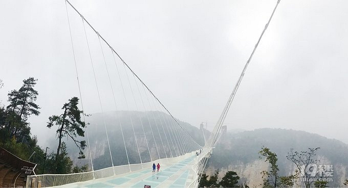 张家界玻璃栈道在哪里,和玻璃桥有什么不同?