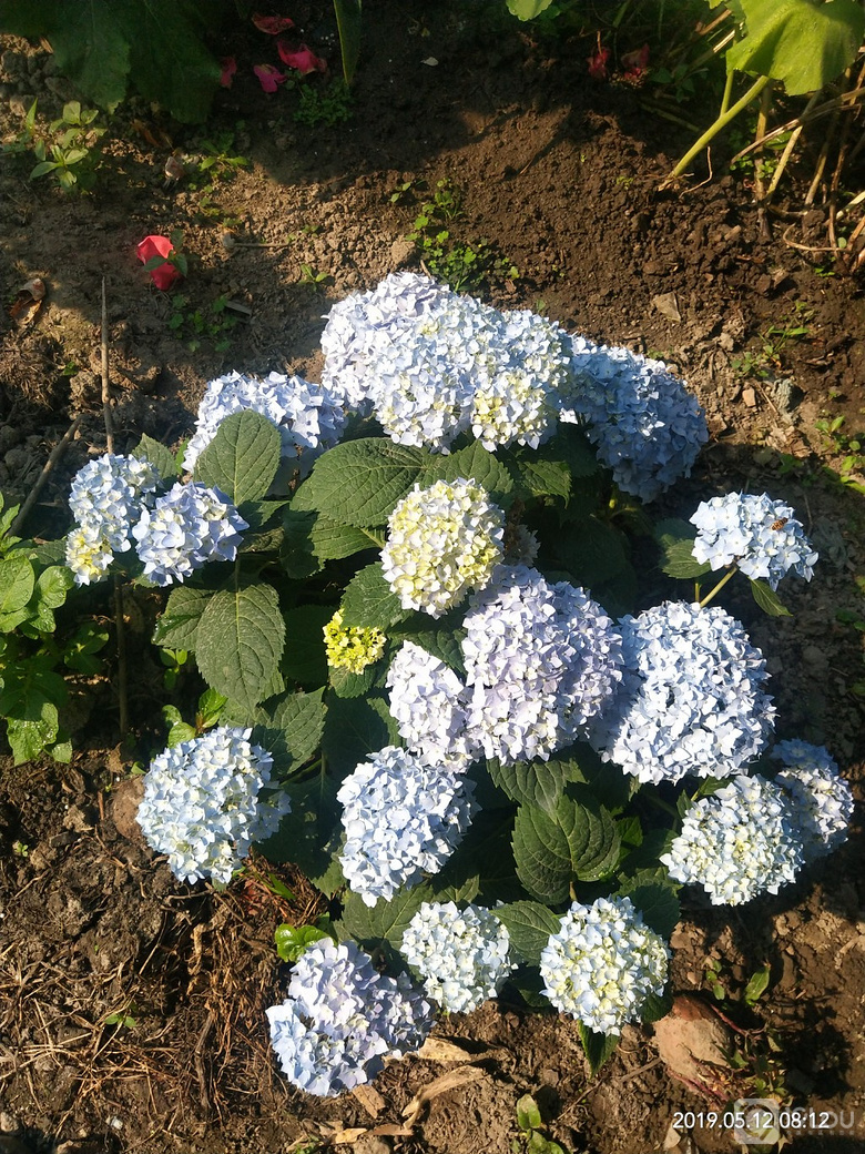 辛苦付出,总有收获