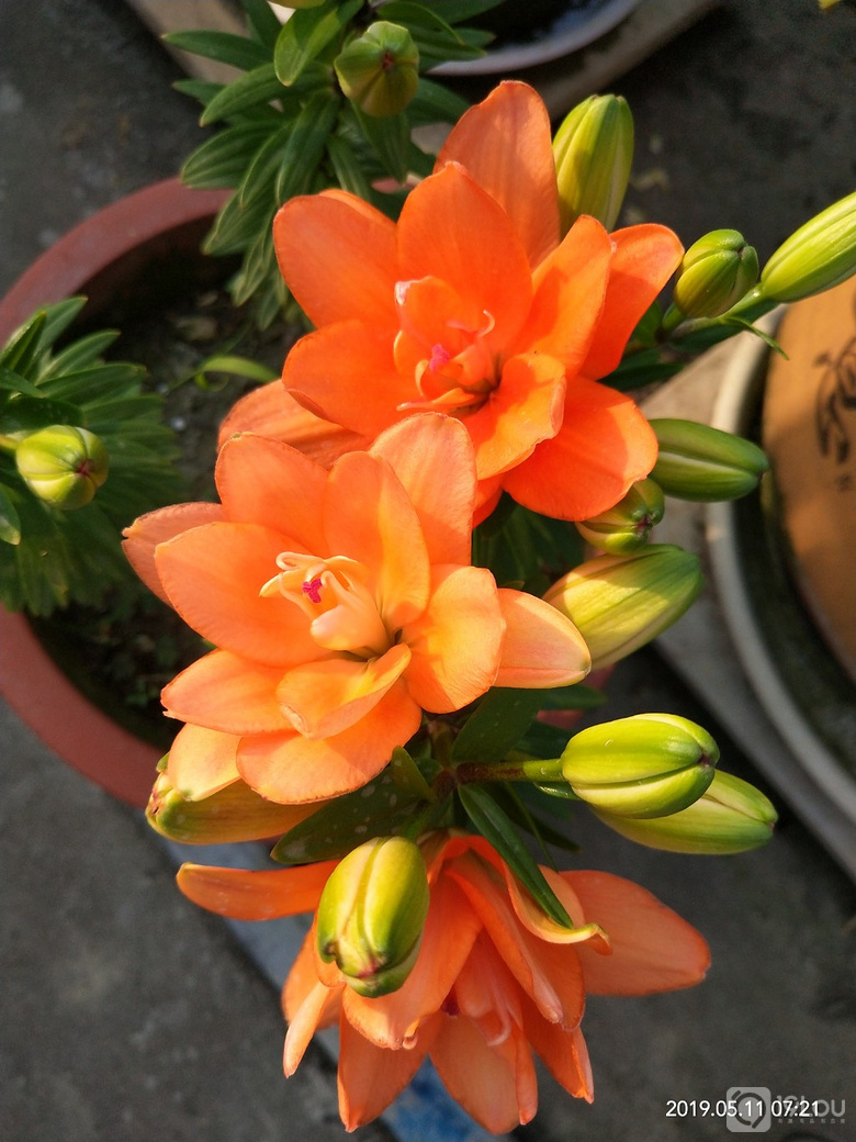 辛苦付出,总有收获