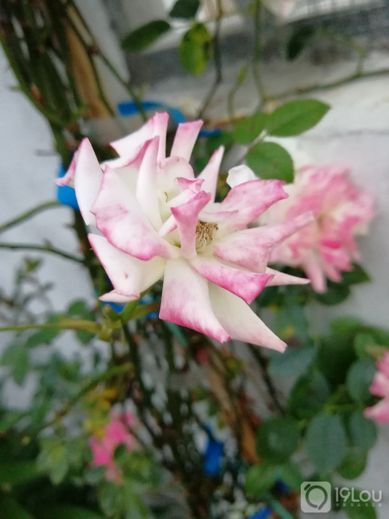 【親子游】西遞隨手記