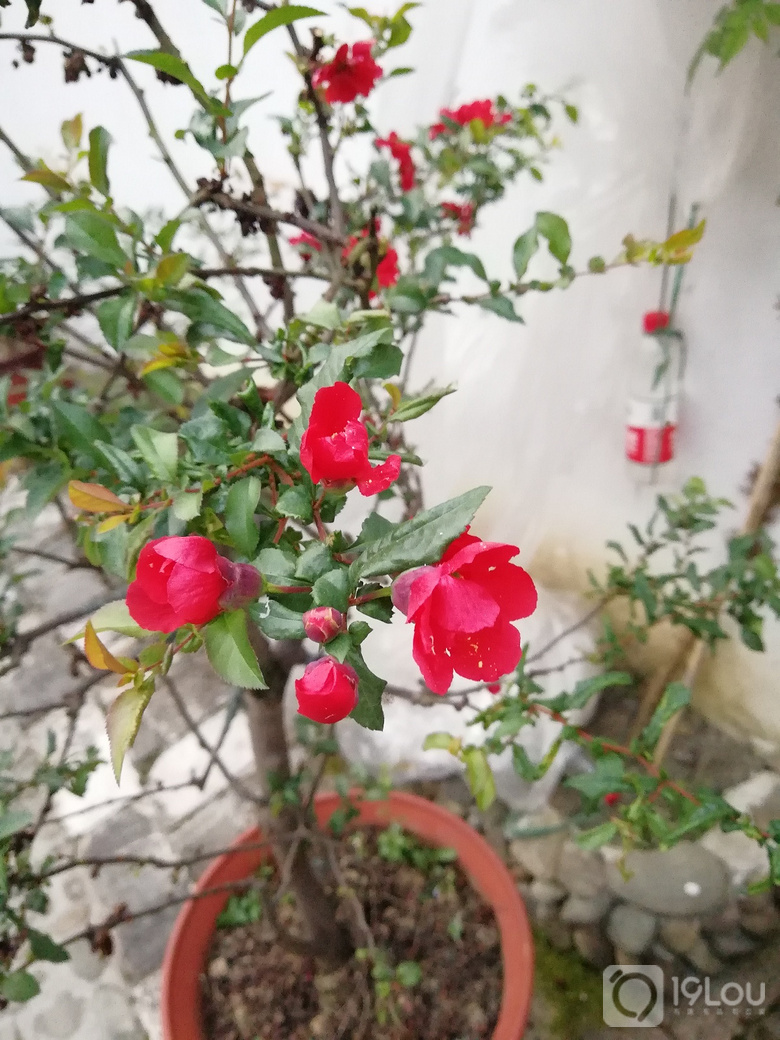 【親子游】西遞隨手記