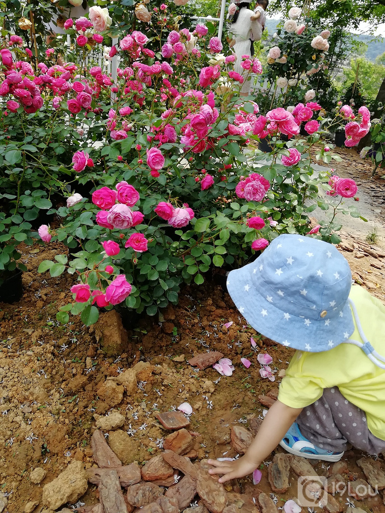 【親子游】西遞隨手記