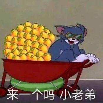 以前的恩爱和体贴都是装的?