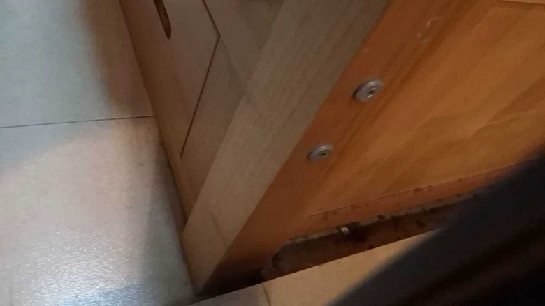 ʵľÔľɫÉÏÏ´²ÉÏÏÂÆÌ´ø´²µæ¶ùͯ´²Ôľ9.5ÐÂÎÞ¼×È©