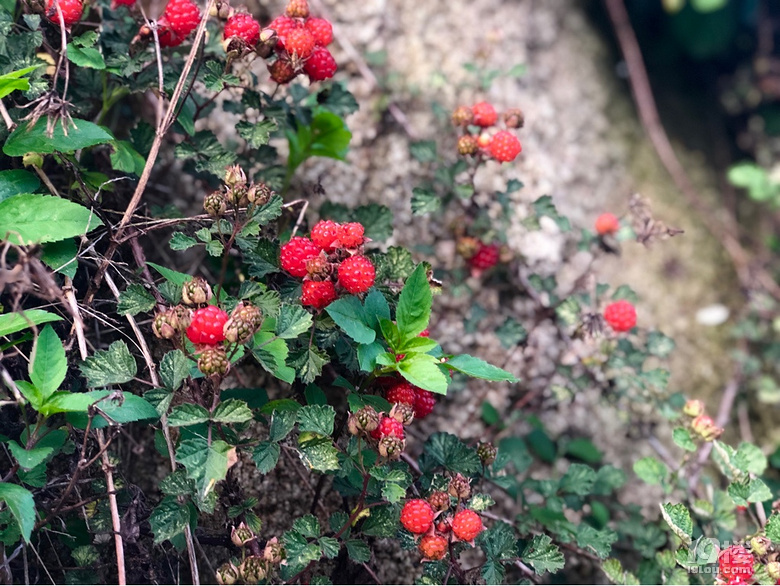 #五一出行#一場(chǎng)風(fēng)中旅行——福建福州平潭島