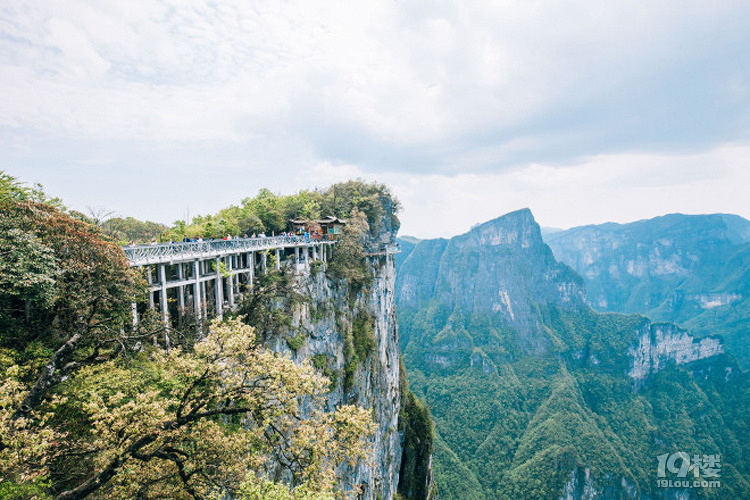 2019张家界、天门山、三天两晚旅游攻略