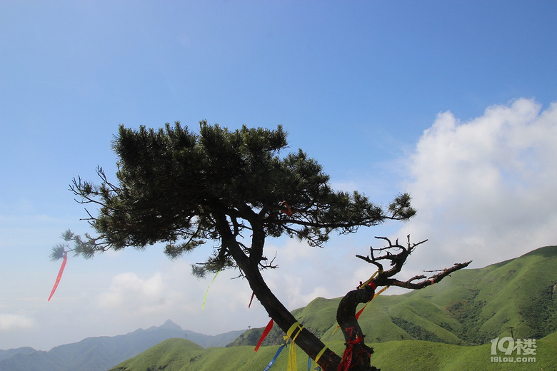 【端午游】+ 云上武功山