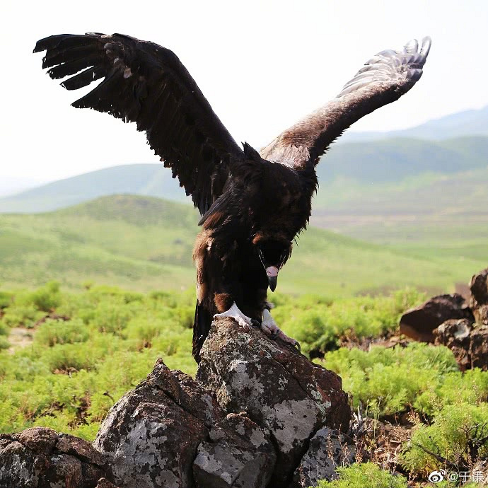除了抽烟喝酒烫头,于谦还有这一爱好,获网友纷