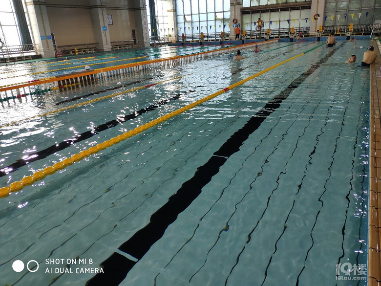 杭州学游泳报名,杭州游泳女教练