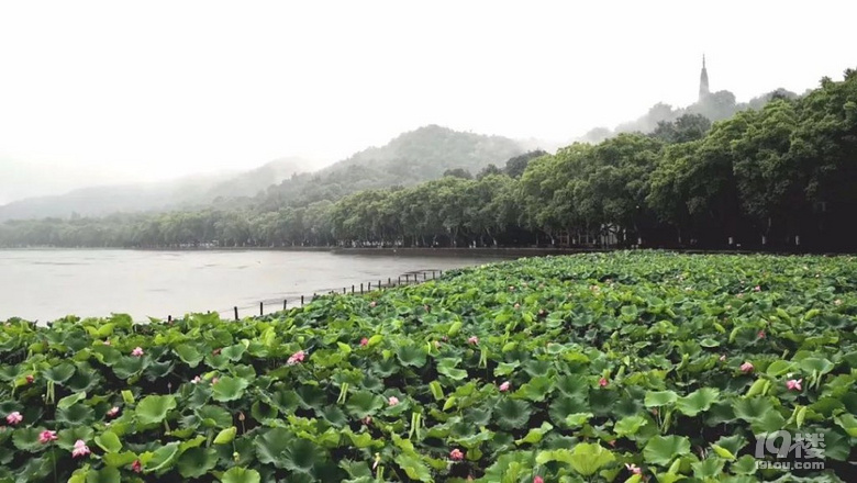 大雨一直下!周六起晴3天,之后又是雨雨雨