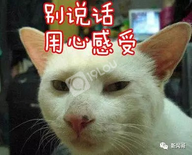 不闯祸有个鬼了
