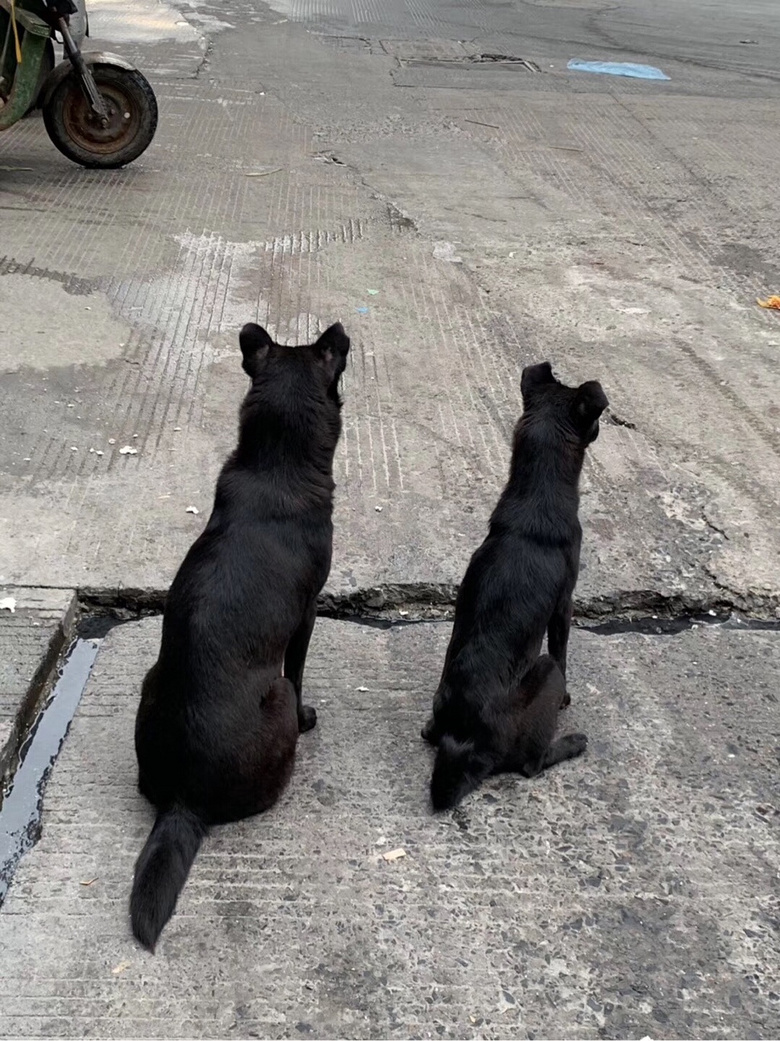 早安,希望大宝今天考试能量满满