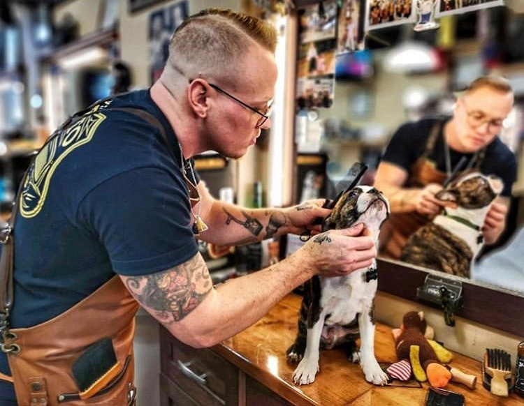 杭州19楼 家有宠物 撸狗 理发店迎来特殊汪星人,发.25