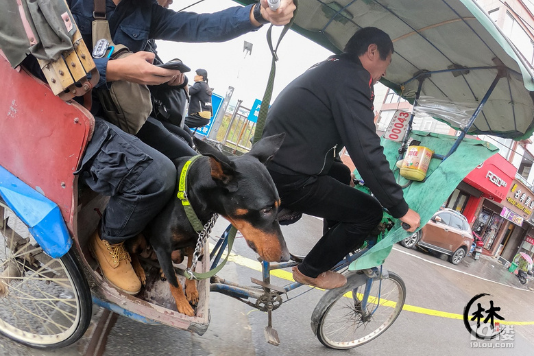 林拙溪4万公里环中国自驾游之出发篇(杭州-厦门)