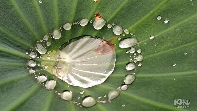 大雨來勢(shì)洶洶,下午有變化!氣溫要降12℃,下周雨水強(qiáng)勢(shì)回歸!