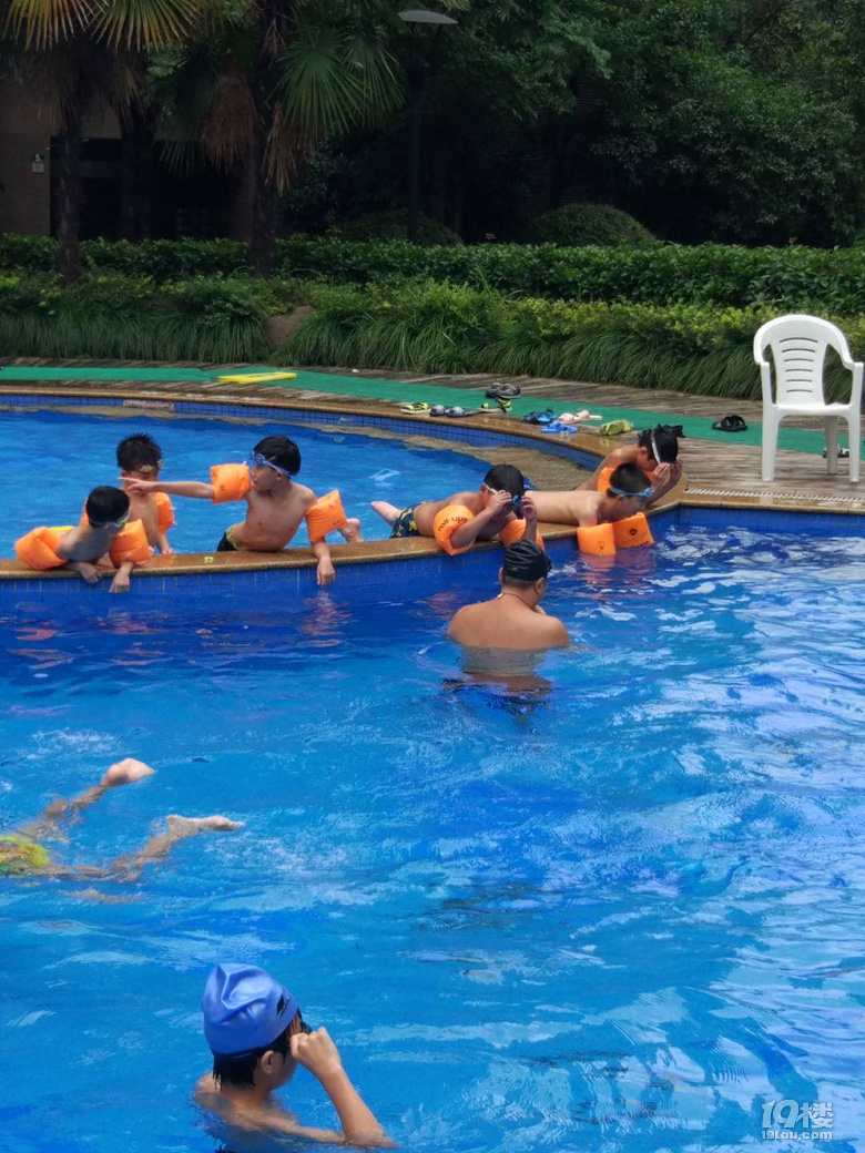 杭州学游泳去哪里学,杭州市中心成人学游泳哪