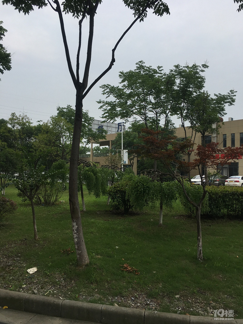 沪C提档过户转入浙E流程