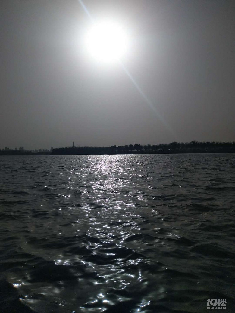 其实都不喜欢孤独,只是身边没有同类罢了。