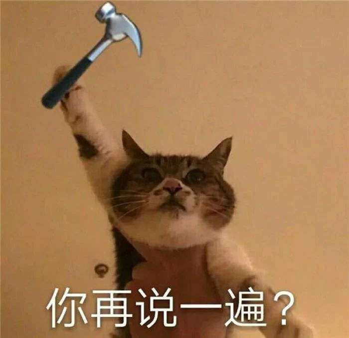 我养了7年的猫,每天都想趁机杀死我!