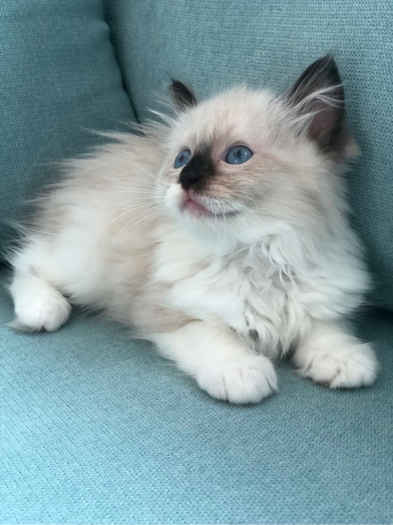 ��żè���Ը�����ر�ճ�ˣ�����