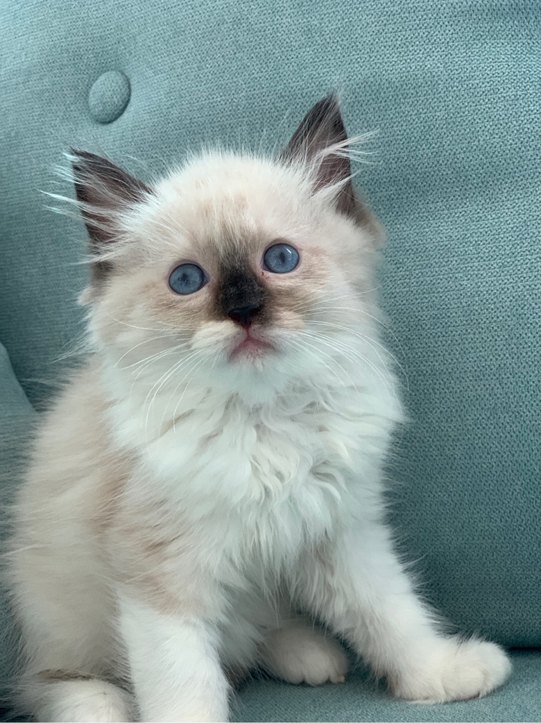 ��żè���Ը�����ر�ճ�ˣ�����