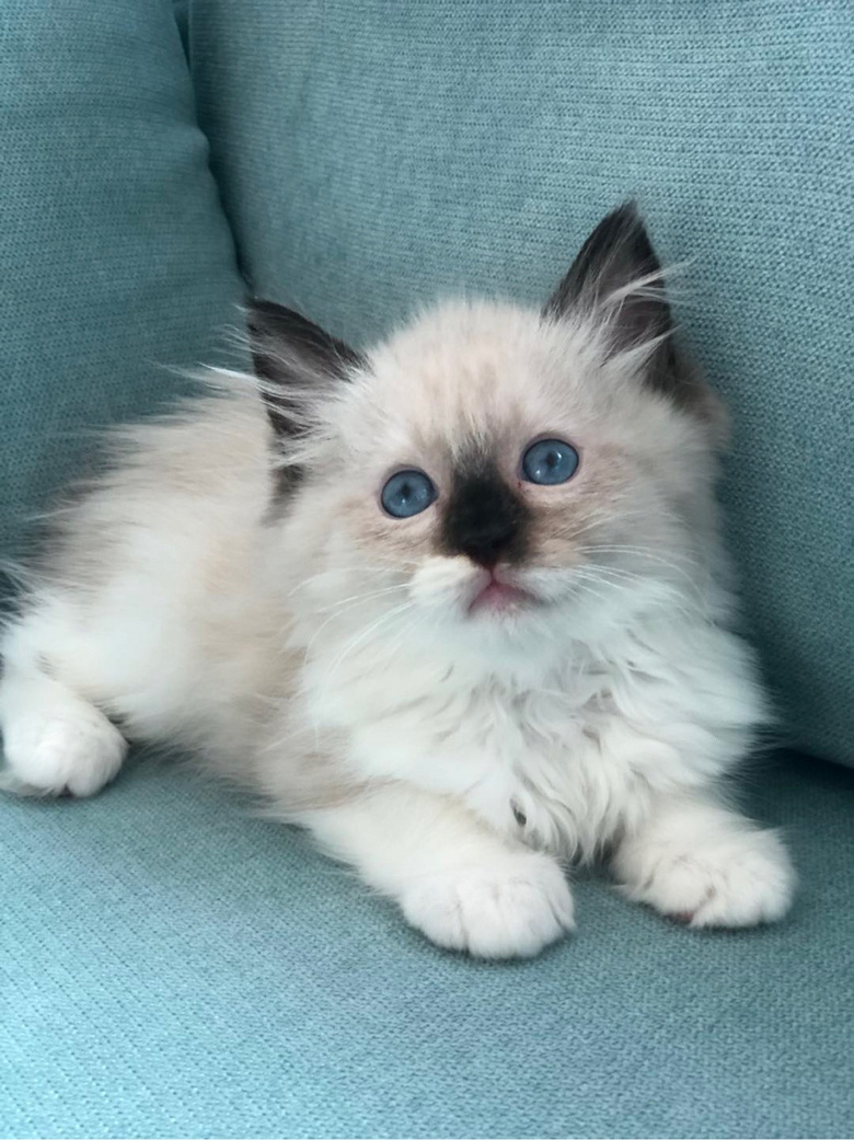 ��żè���Ը�����ر�ճ�ˣ�����