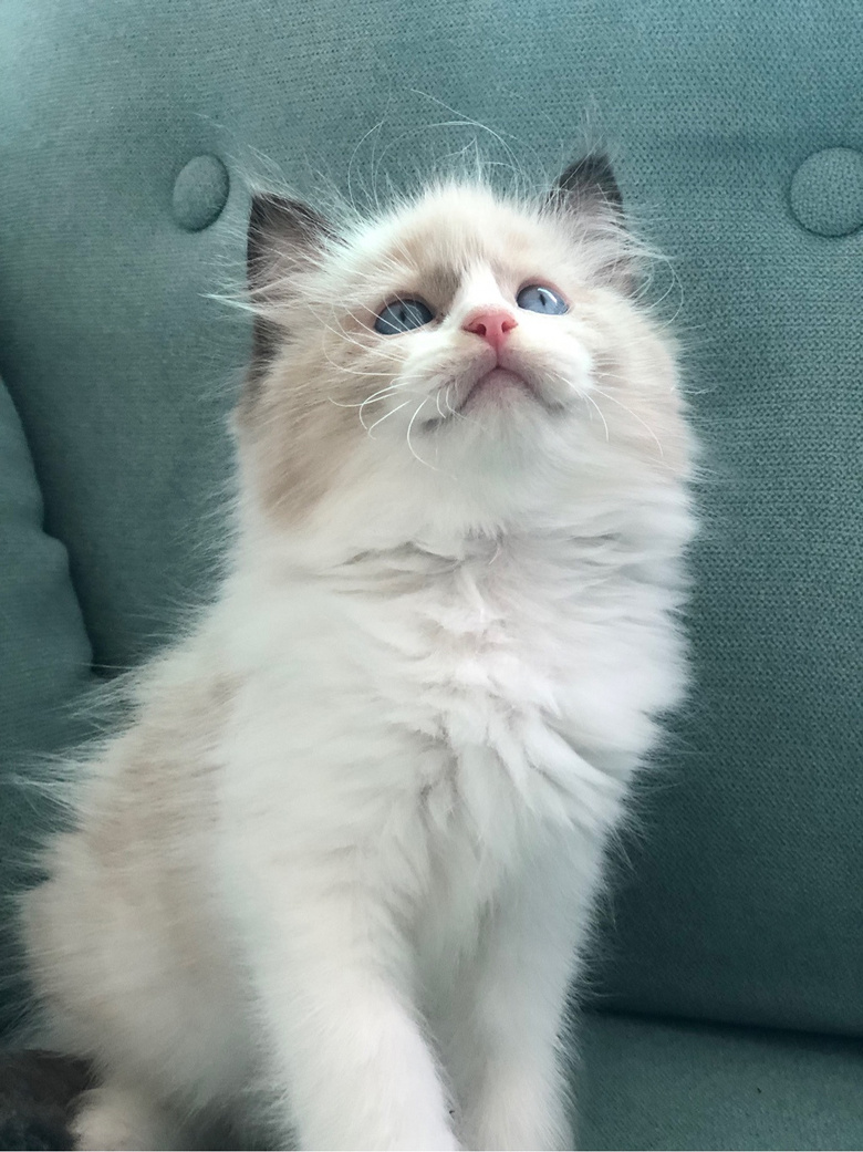 ��żè���Ը�����ر�ճ�ˣ�����