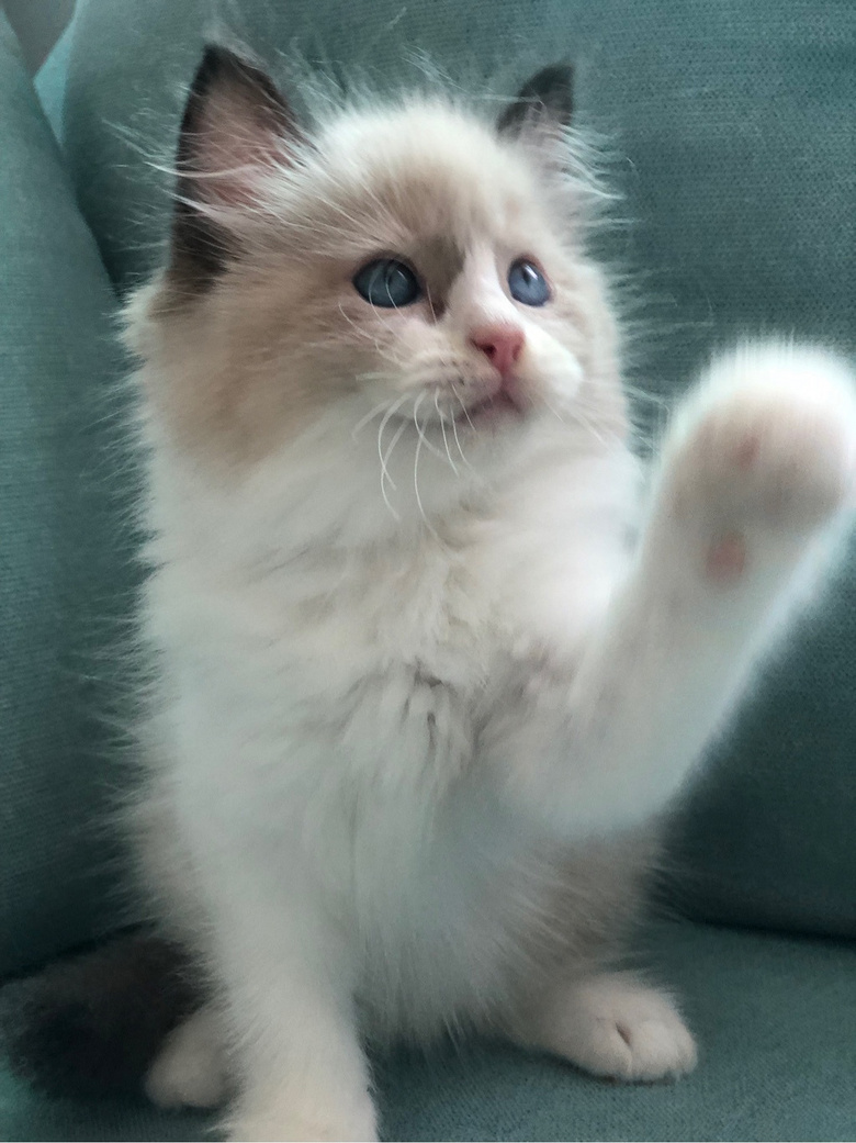 ��żè���Ը�����ر�ճ�ˣ�����