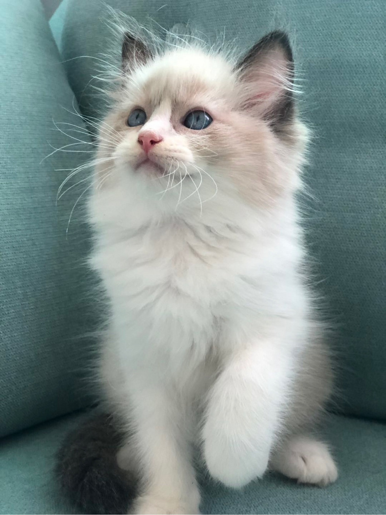 ��żè���Ը�����ر�ճ�ˣ�����