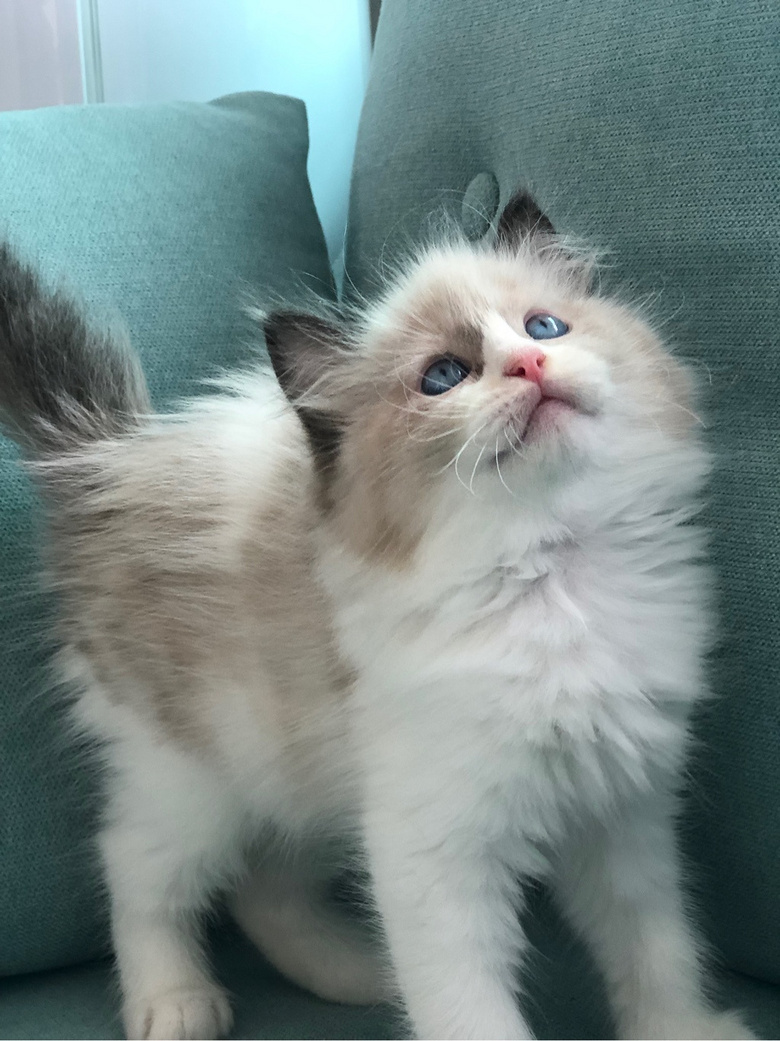 ��żè���Ը�����ر�ճ�ˣ�����