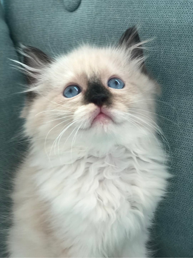 ��żè���Ը�����ر�ճ�ˣ�����