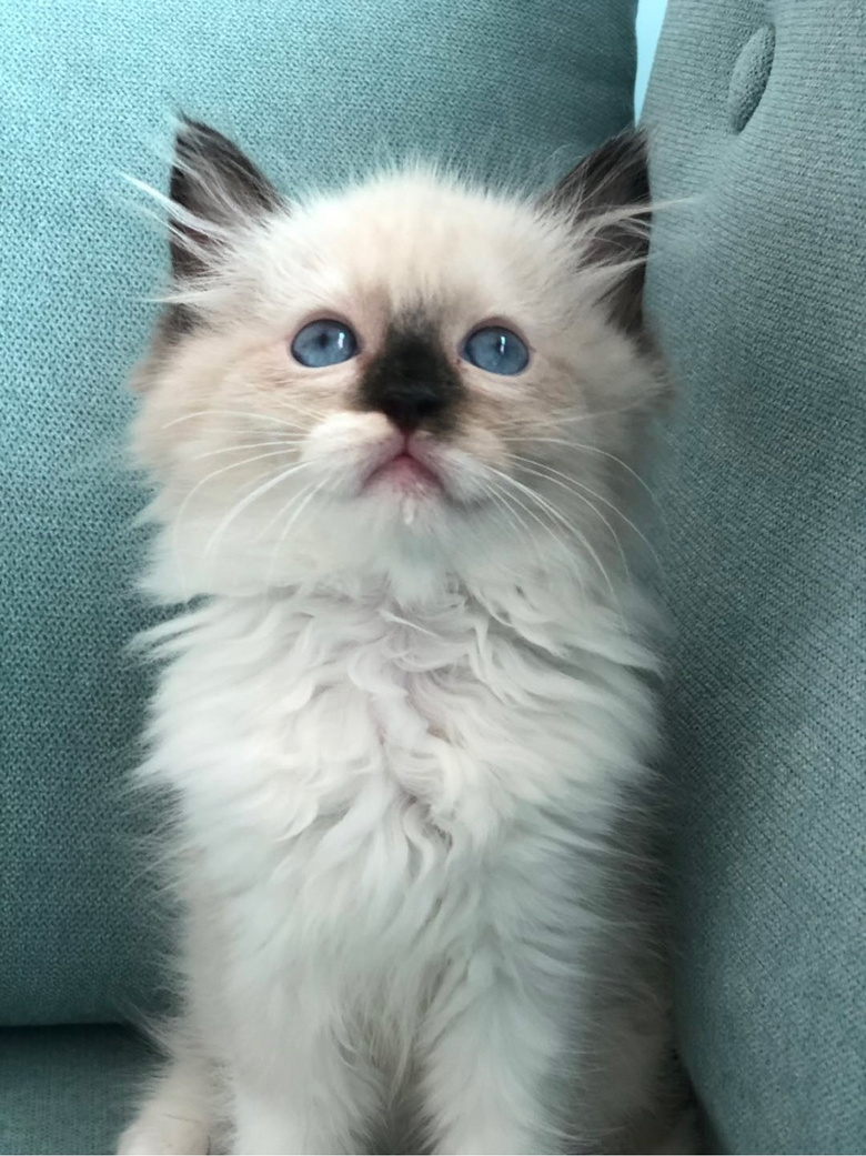 ��żè���Ը�����ر�ճ�ˣ�����