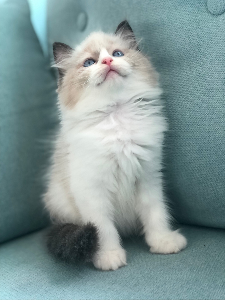 ��żè���Ը�����ر�ճ�ˣ�����