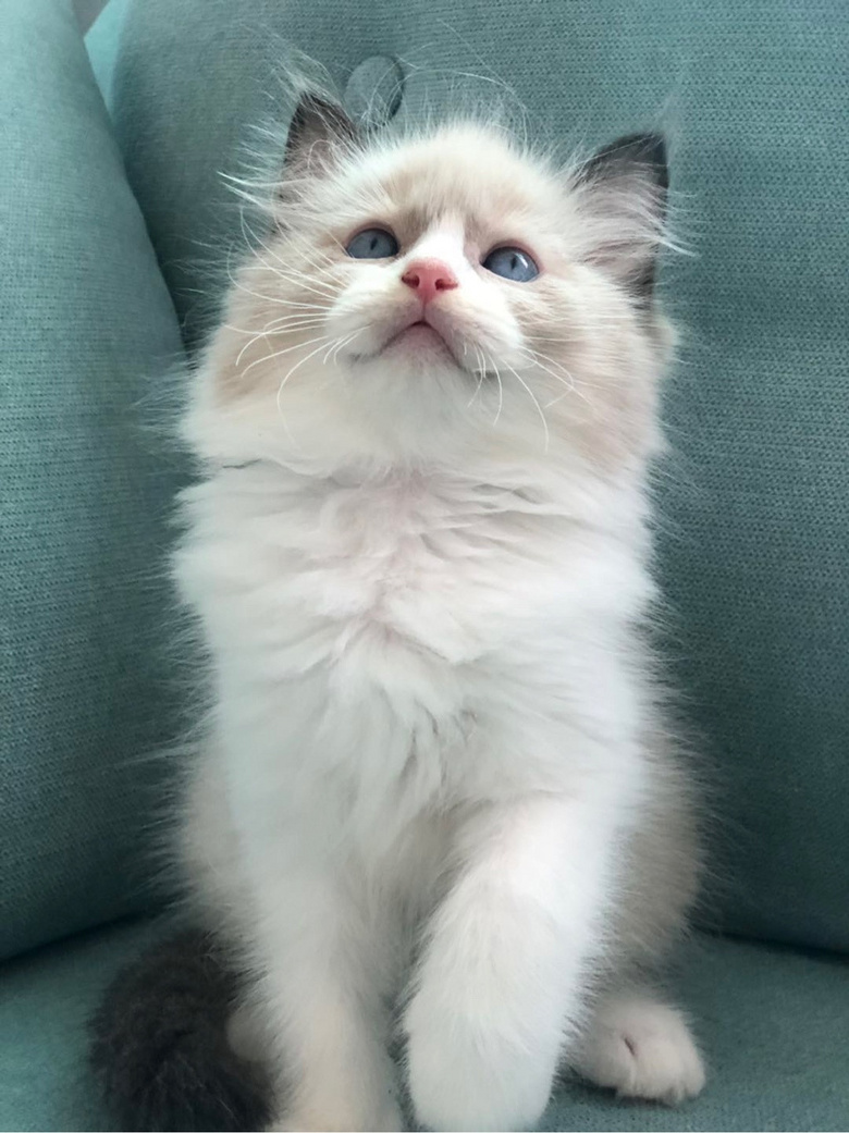 ��żè���Ը�����ر�ճ�ˣ�����