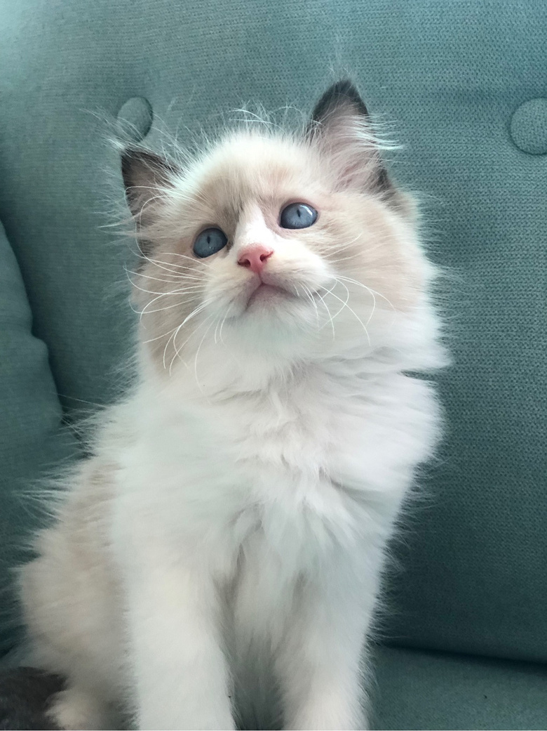 ��żè���Ը�����ر�ճ�ˣ�����