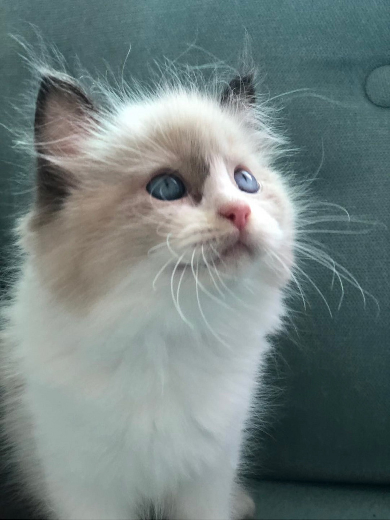 ��żè���Ը�����ر�ճ�ˣ�����