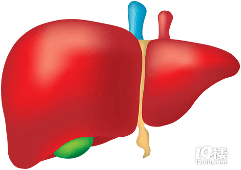 太可怕了,肝脏排毒不好有什么症状?很多人还不