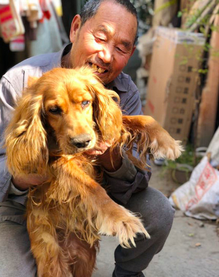 "7旬孤寡老人抱着狗狗求人