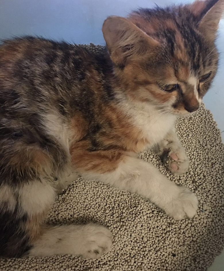 爱心传递:感谢遇到你,让我重生