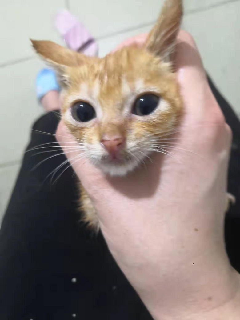 爱心传递:感谢遇到你,让我重生