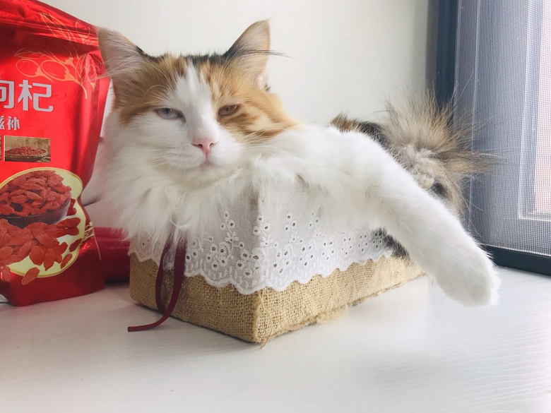 爱心传递:感谢遇到你,让我重生